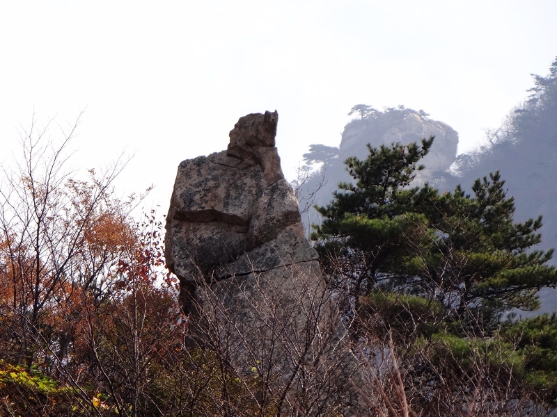 DSC05725.jpg