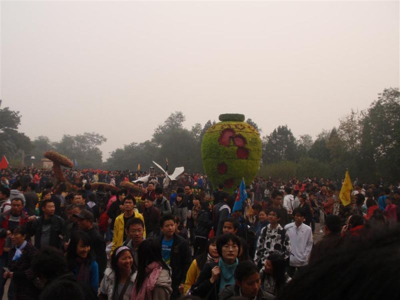 406.jpg