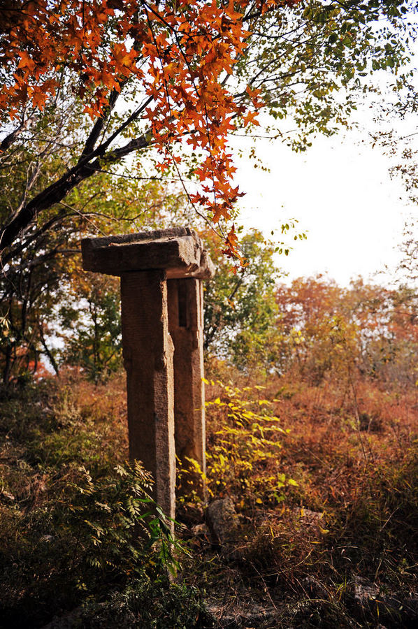 寺庙遗址 (1).jpg