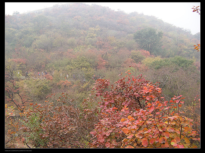箭扣长城 香山 389_副本.jpg