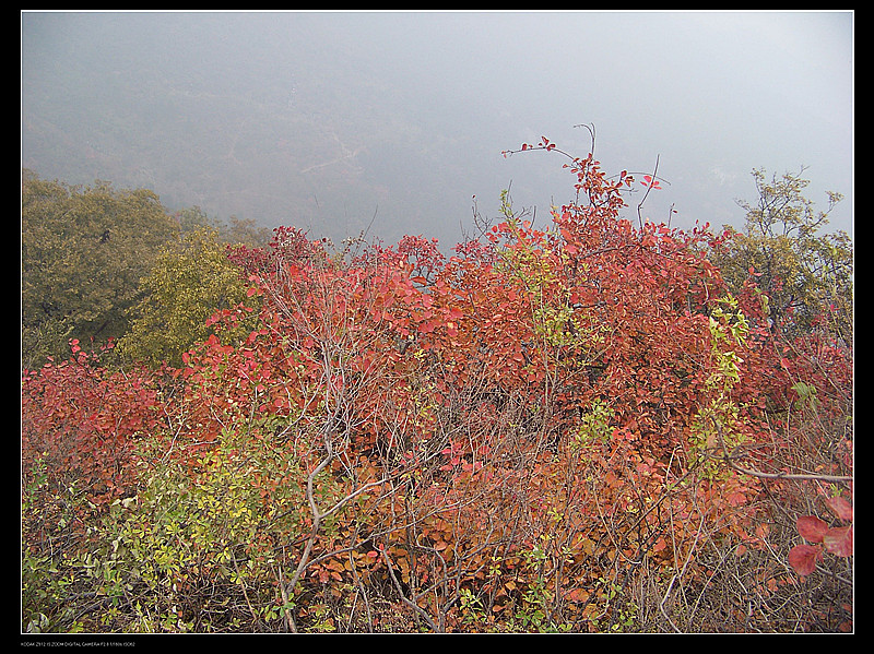 箭扣长城 香山 374_副本.jpg
