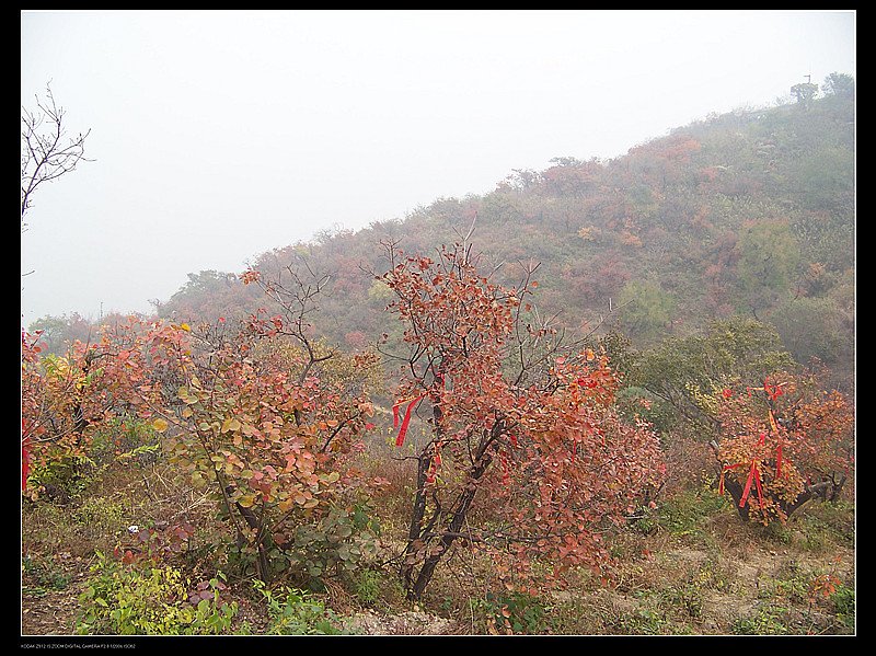 箭扣长城 香山 387_副本.jpg