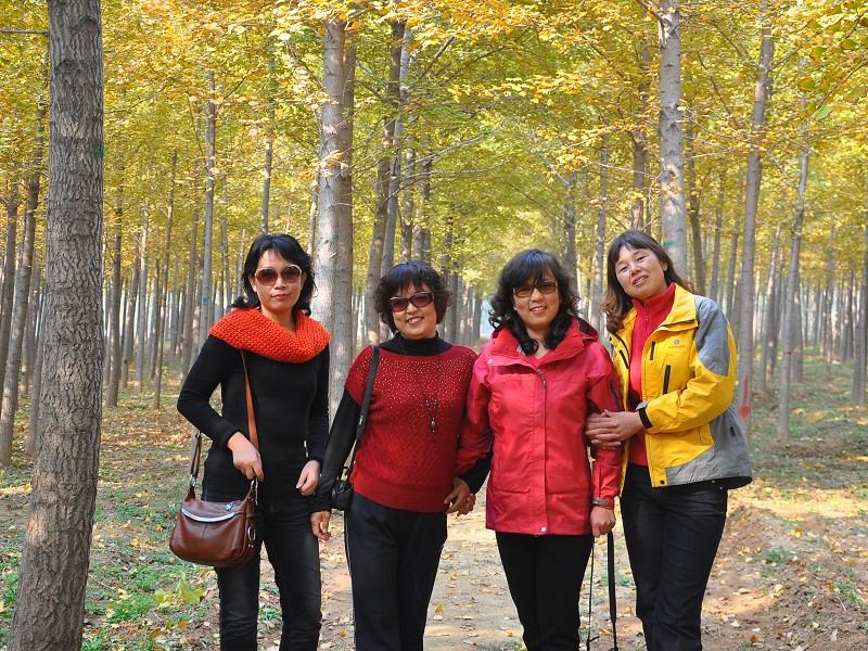 PhotoCap_045.jpg