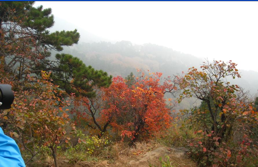 那一团火.JPG
