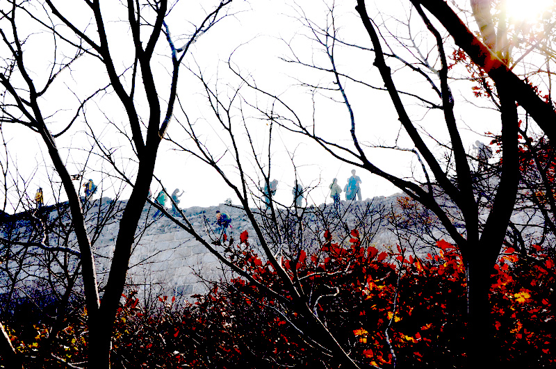 北京剪扣香山照片2011年10月29-30日 054.jpg