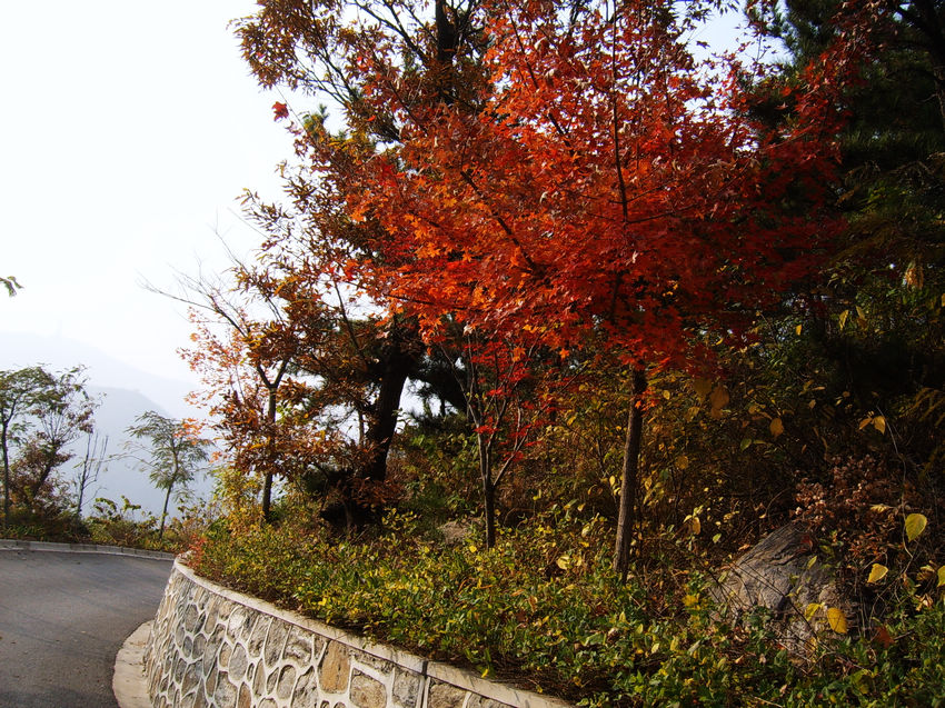 nEO_IMG_SUC54813.jpg