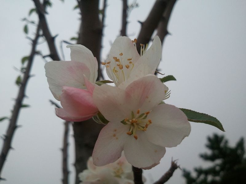 2011-10-12 13.55.00.jpg