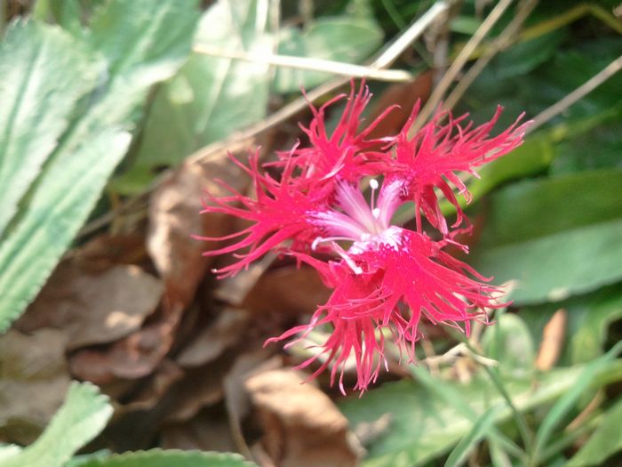 2011-11-02 14.55.42.jpg