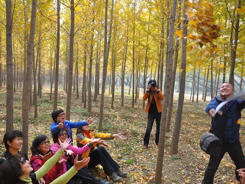 PhotoCap_177.jpg