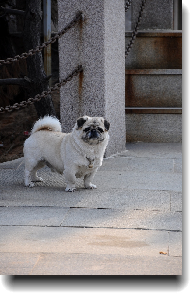 DSC_7381.jpg