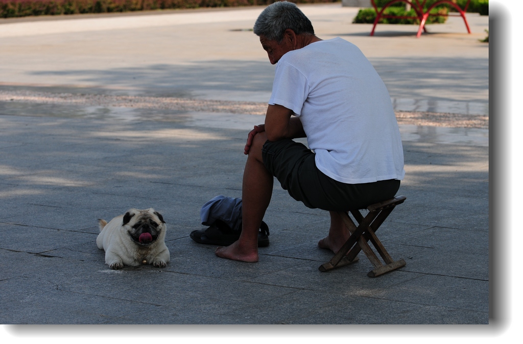 DSC_2300.jpg