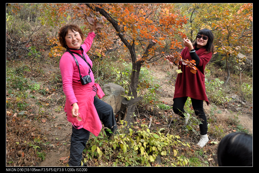 北京剪扣香山照片2011年10月29-30日 434.jpg