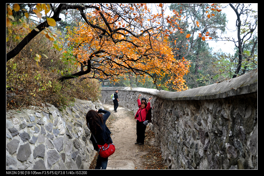 北京剪扣香山照片2011年10月29-30日 579.jpg