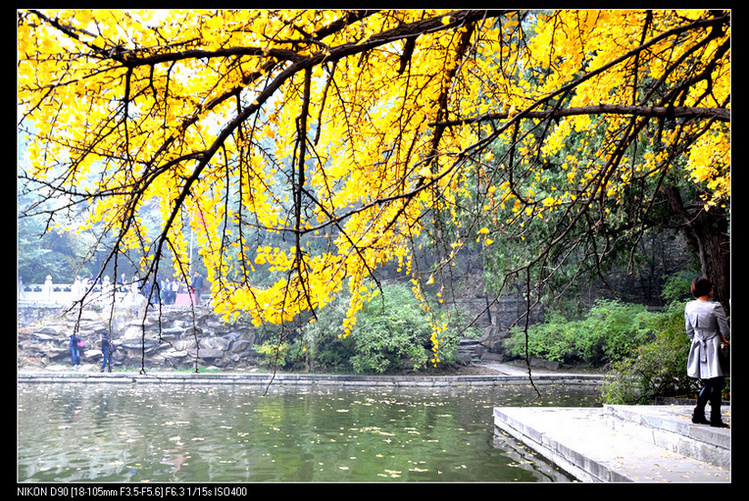 北京剪扣香山照片2011年10月29-30日 593.jpg