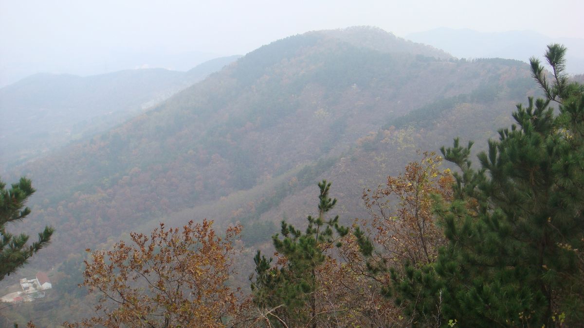 DSC06737.JPG