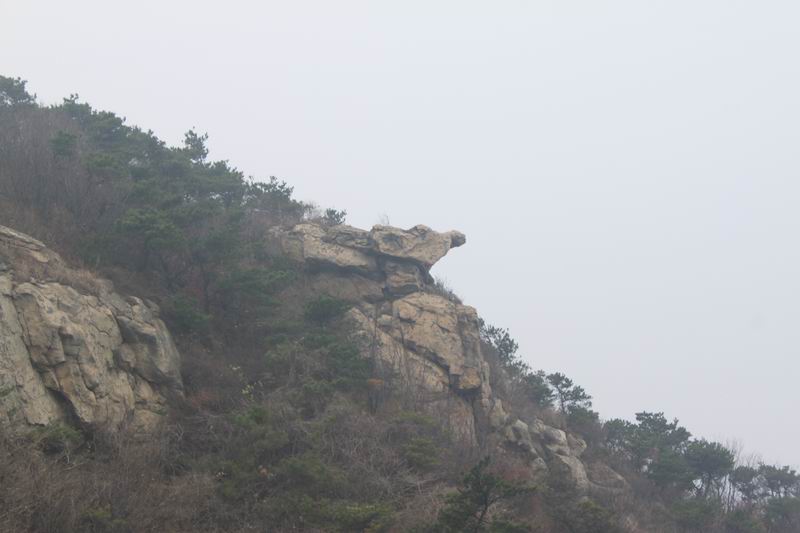 调整大小 IMG_0049.JPG