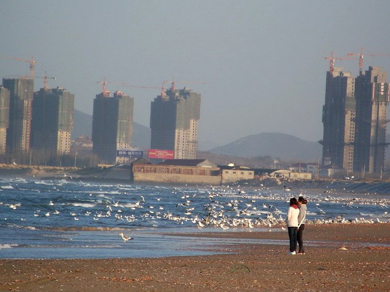 121_4764_缩小大小.JPG