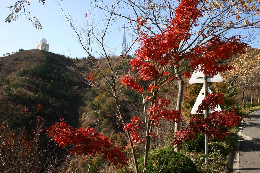 IMG_0065_光影_1.jpg
