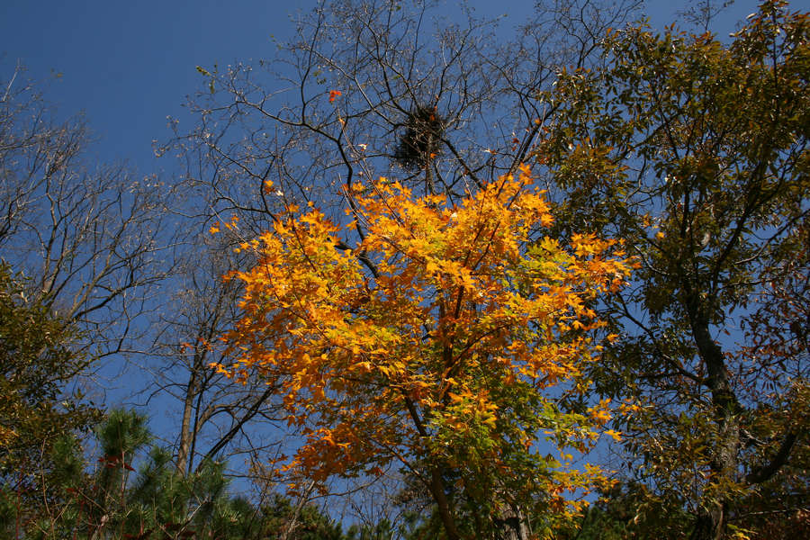 IMG_0120_光影_1.jpg