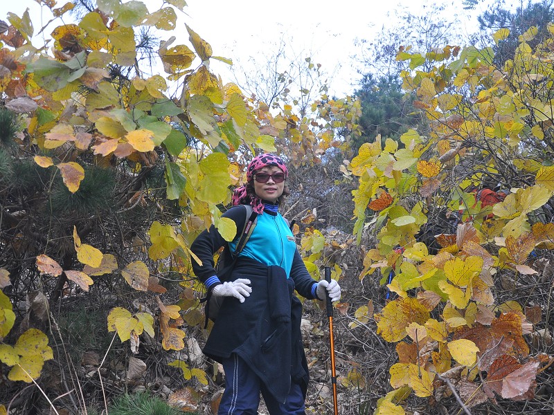 PhotoCap_092.jpg