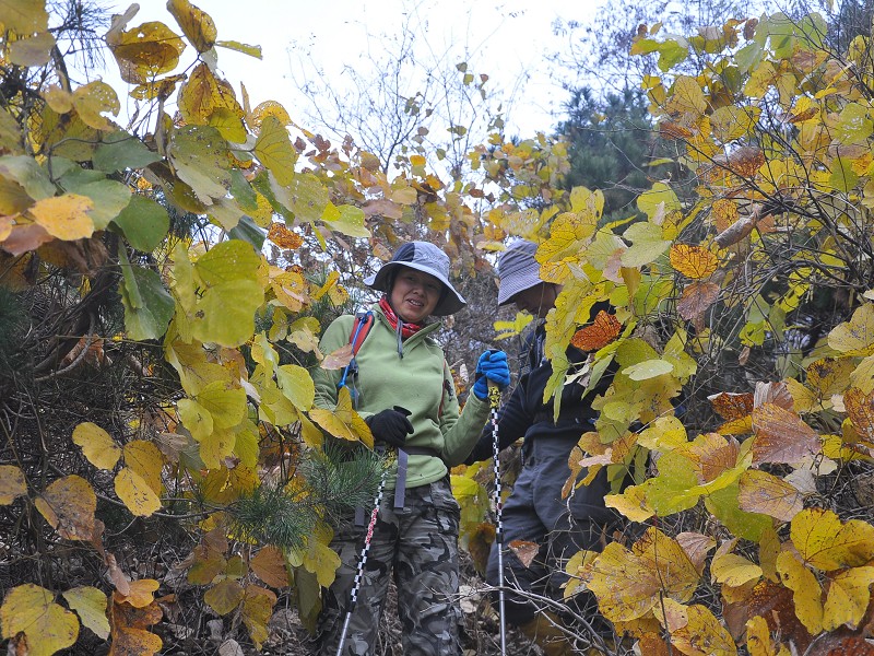 PhotoCap_096.jpg