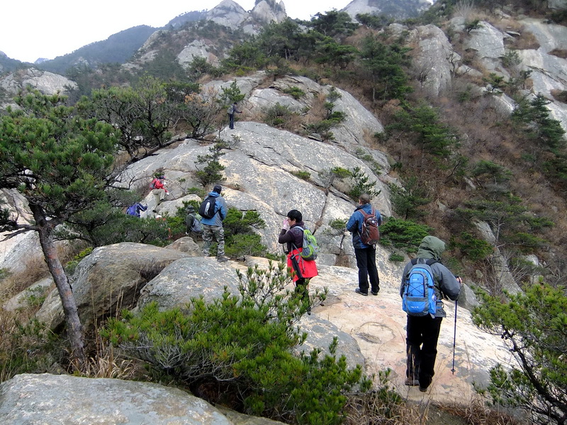 DSCF5096.jpg