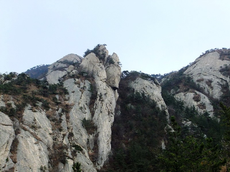 DSCF5101.jpg