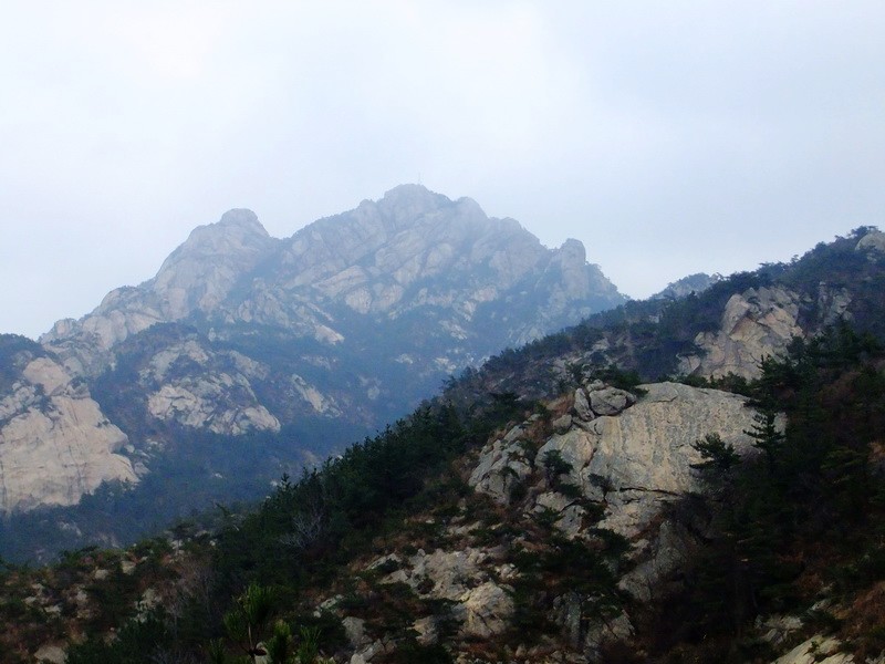 DSCF5102.jpg