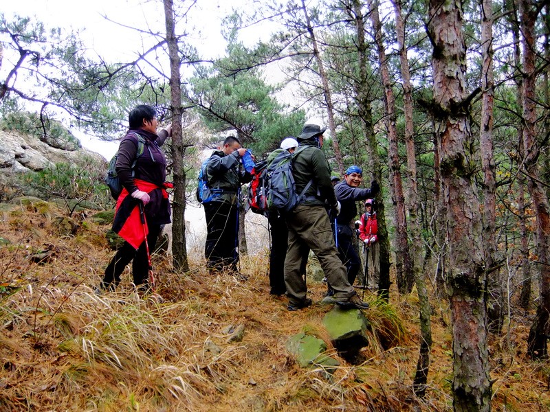 DSCF5110.jpg