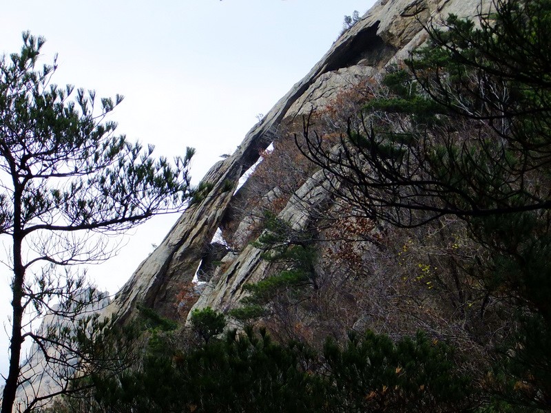 DSCF5114.jpg