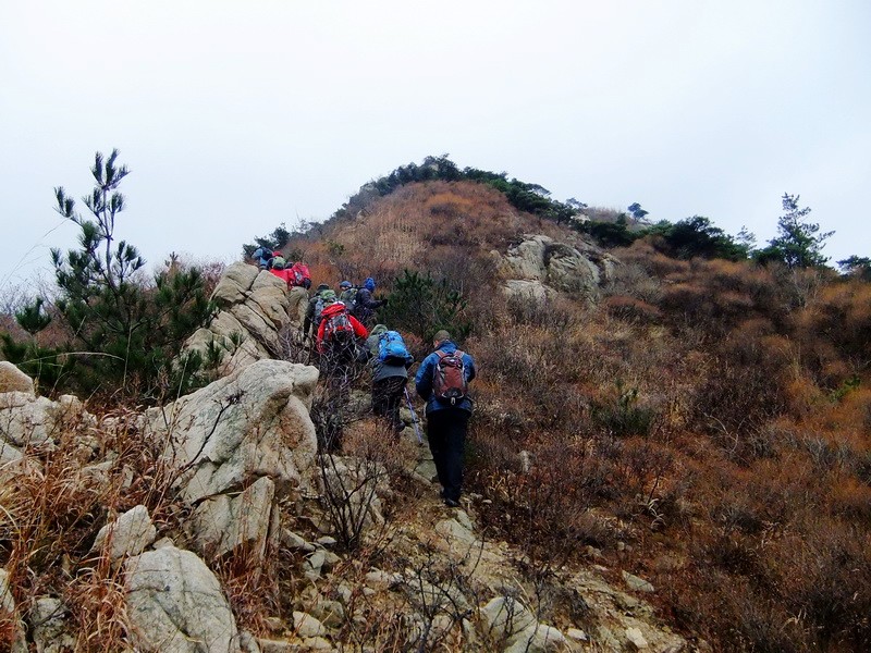 DSCF5120.jpg