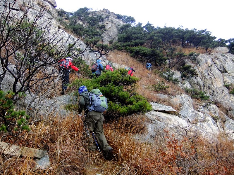DSCF5148.jpg