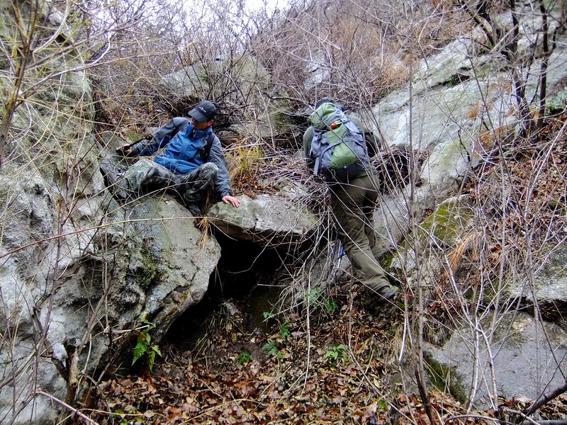 DSCF5174.jpg