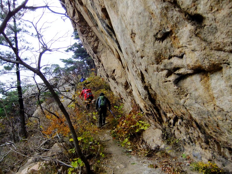 DSCF5187.jpg