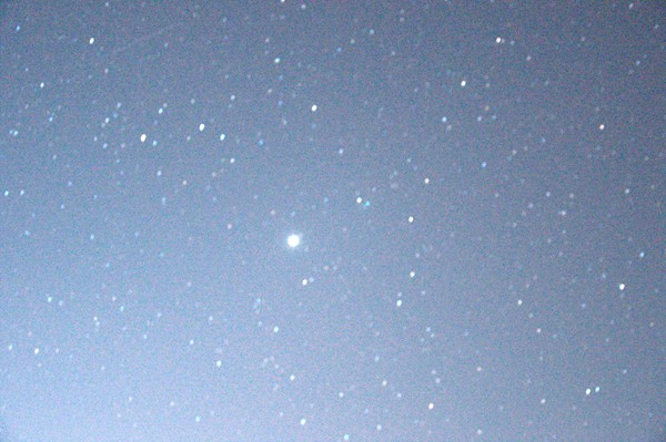 DSC_0220 [600x800].jpg