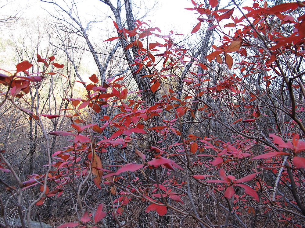 IMG_3989.jpg