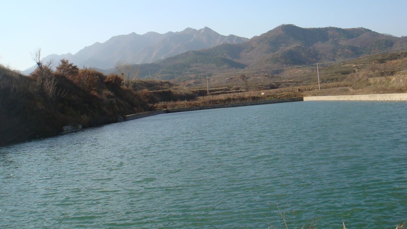 nEO_IMG_DSC06877.jpg