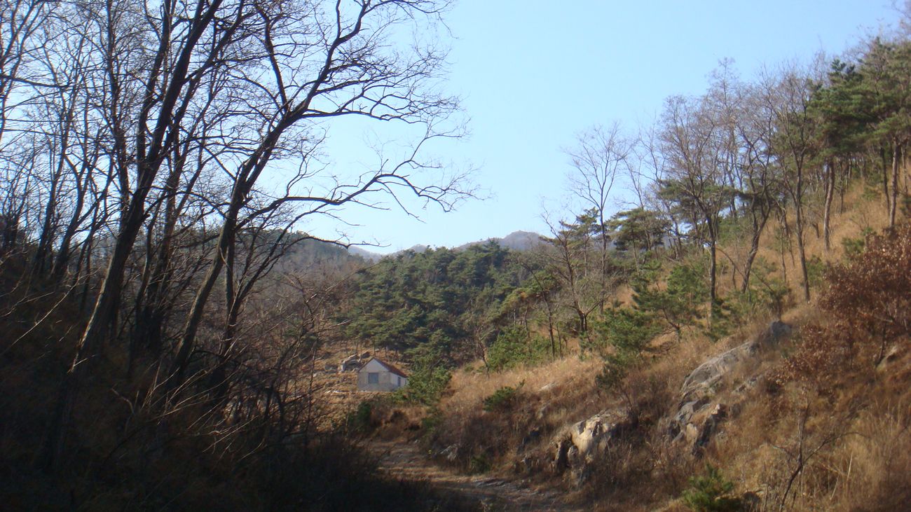 nEO_IMG_DSC06896.jpg