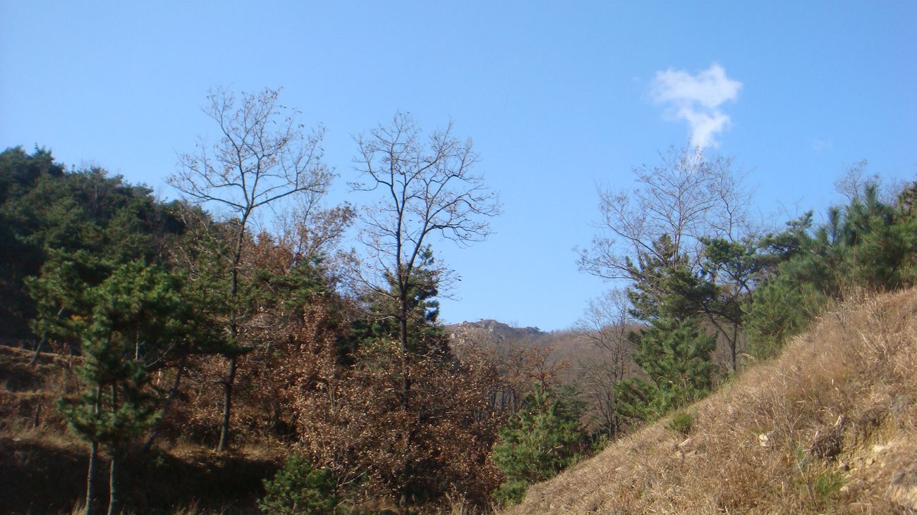 nEO_IMG_DSC06901.jpg
