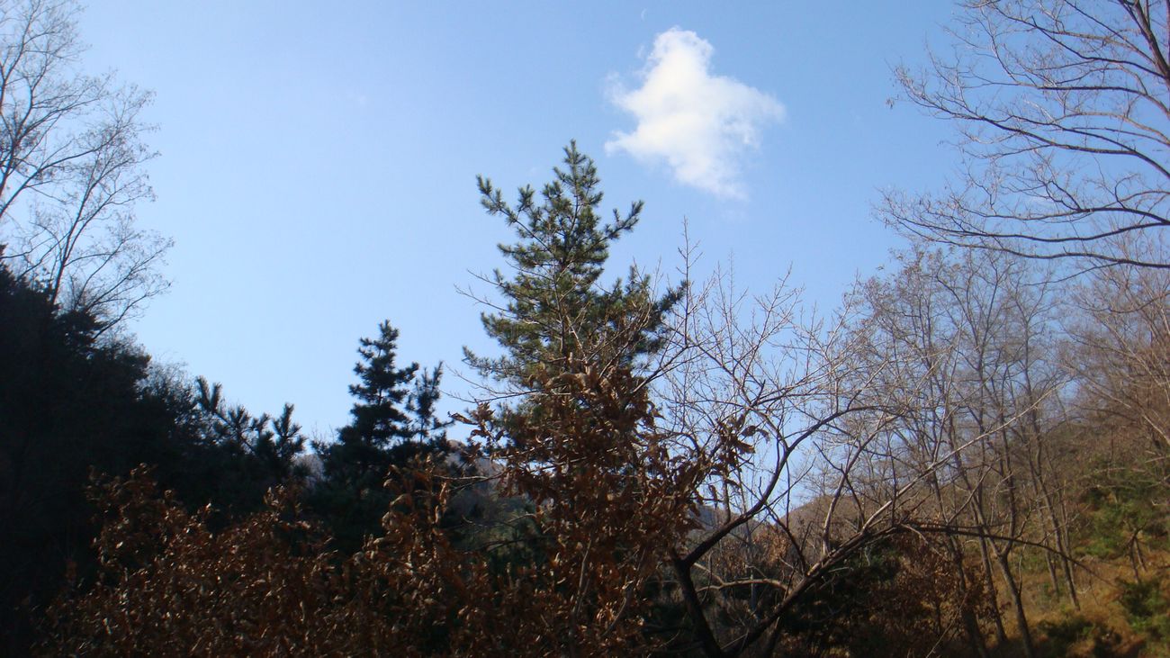 nEO_IMG_DSC06905.jpg