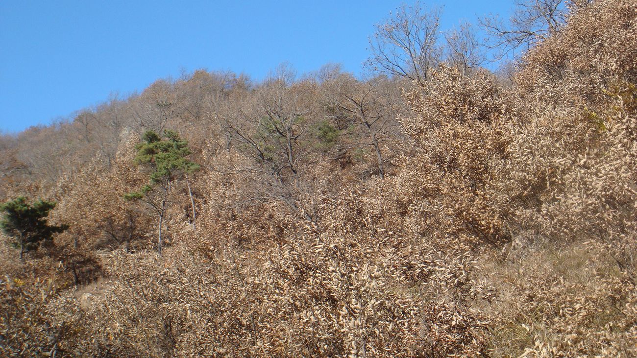 nEO_IMG_DSC07135.jpg