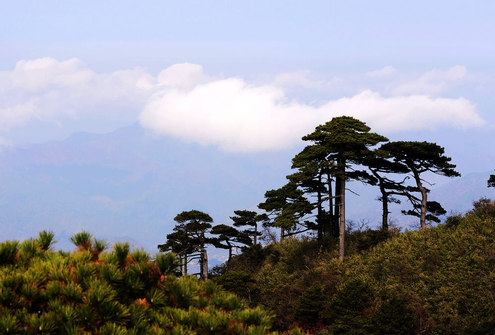 三清山风光 (8).jpg