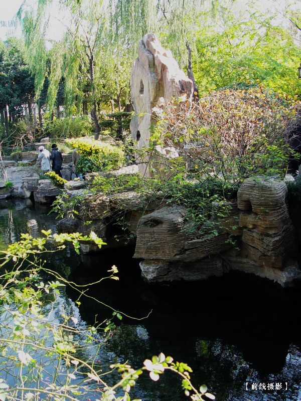DSC00337趵突泉.jpg
