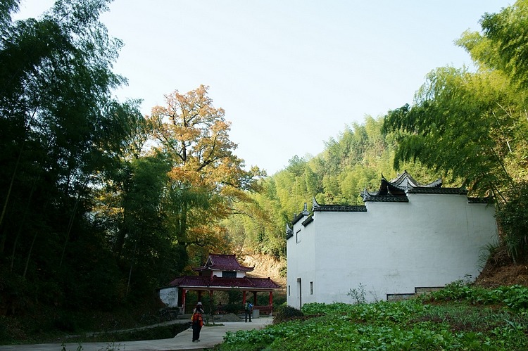 DSC04785.jpg