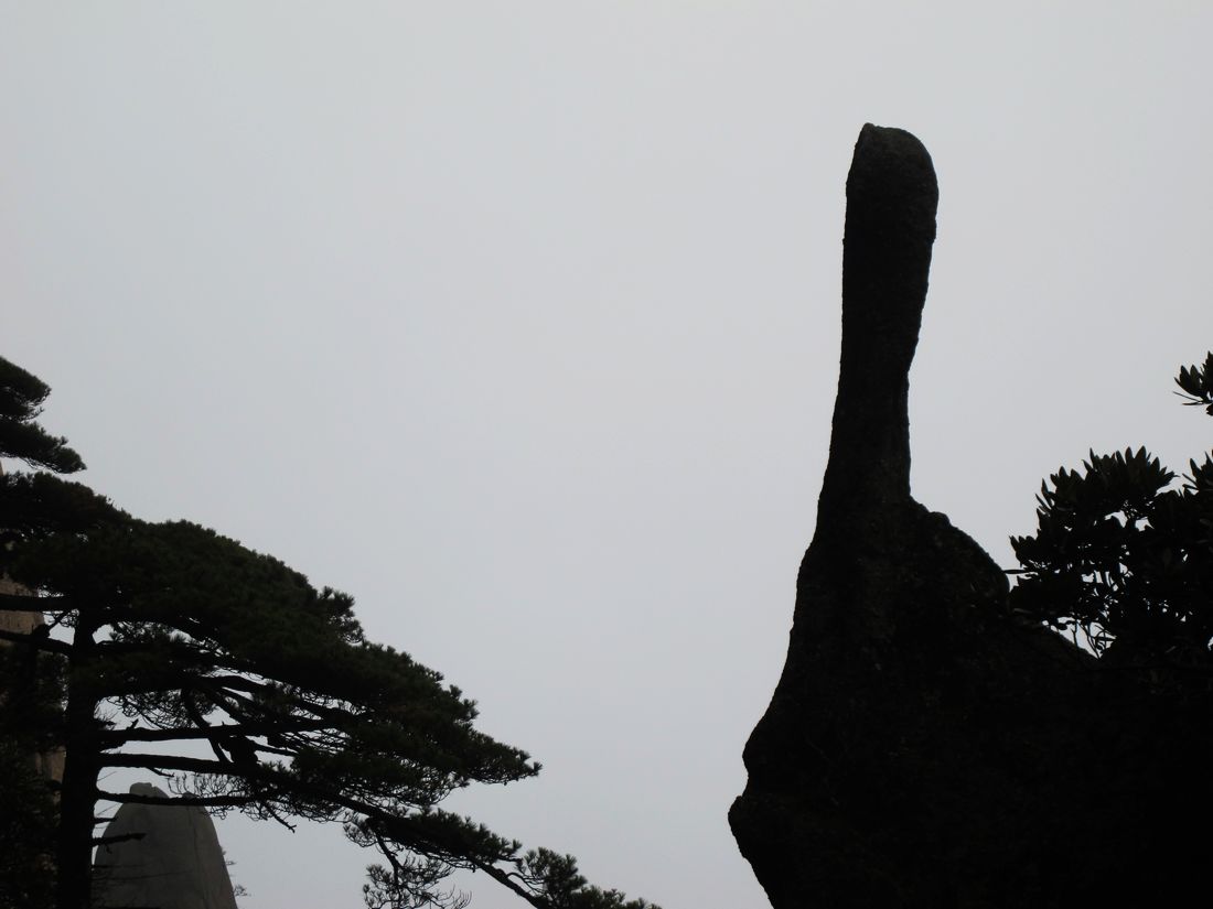 nEO_IMG_2011-11三清山、婺源 294.jpg