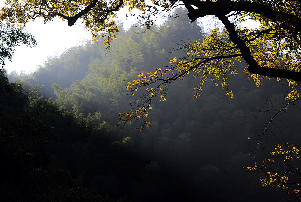 沿途风景 (2).jpg