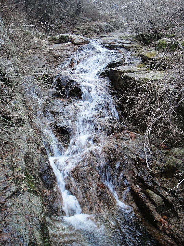 DSC09915.jpg