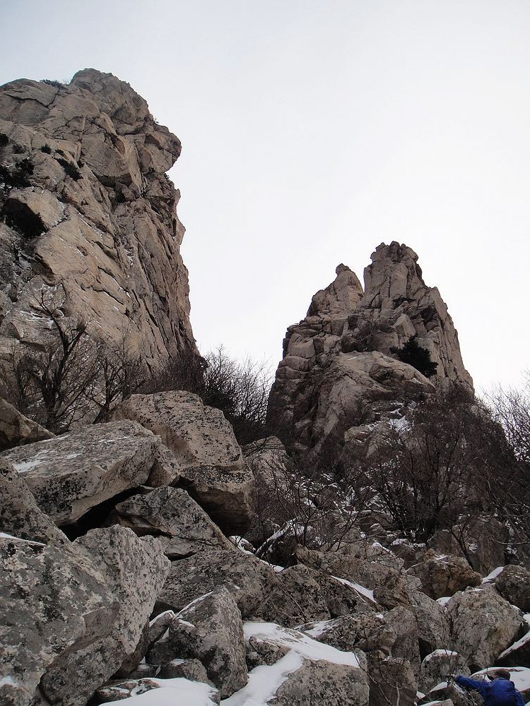 DSC09950.jpg