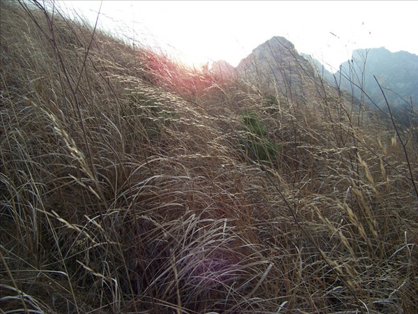 磁山环穿 153_副本.jpg