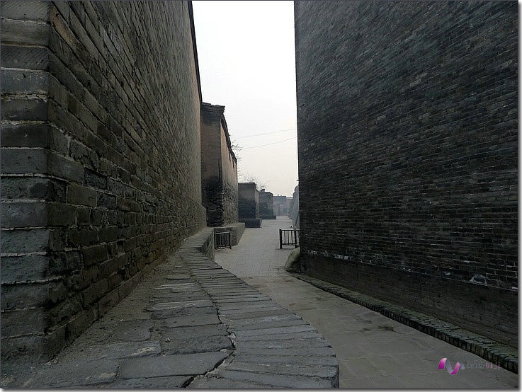 P1000138.jpg